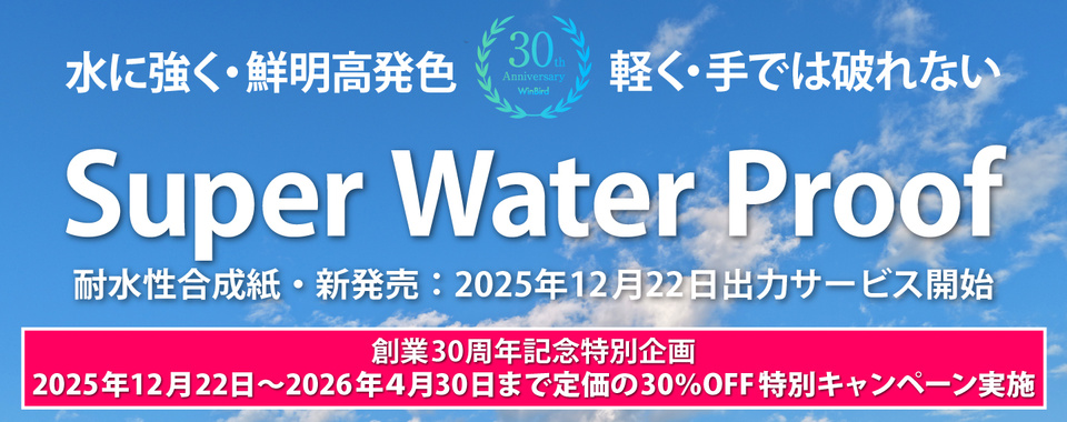 swp-960-380-20251226.jpg