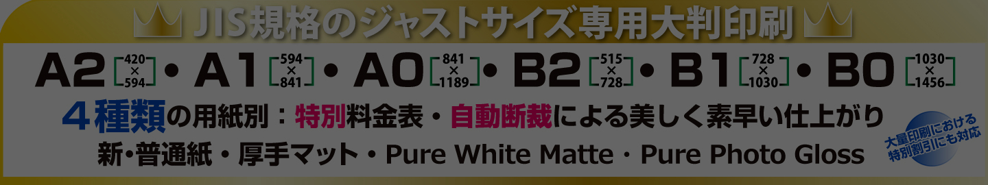 JIS規格ジャストサイズ大判印刷