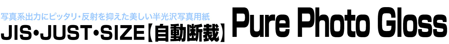 JUSTサイズPPGの料金表